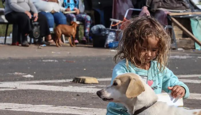 RS: mais 37 mil famílias recebem Auxílio Reconstrução de R$ 5,1 mil